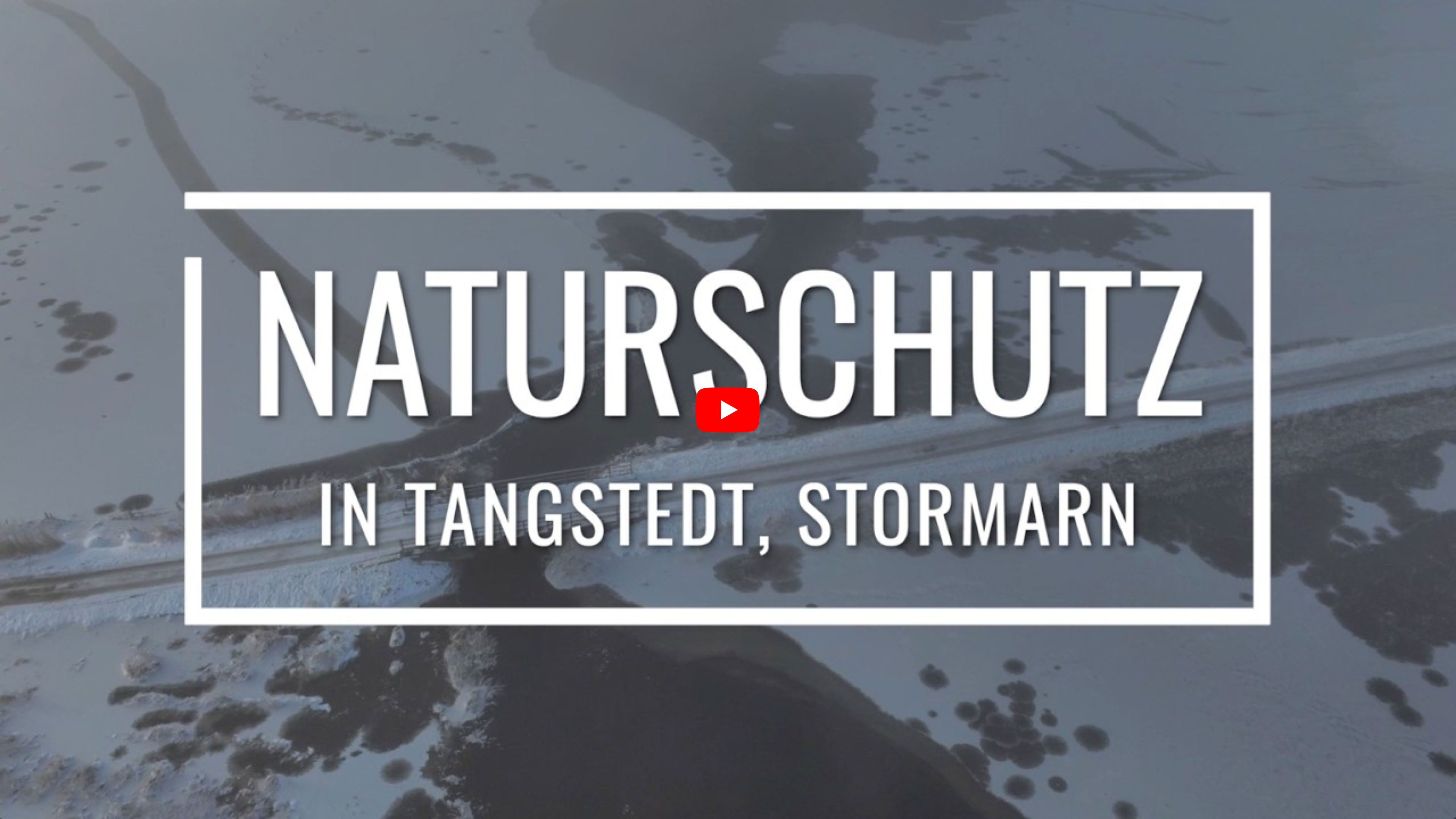 Video abspielen